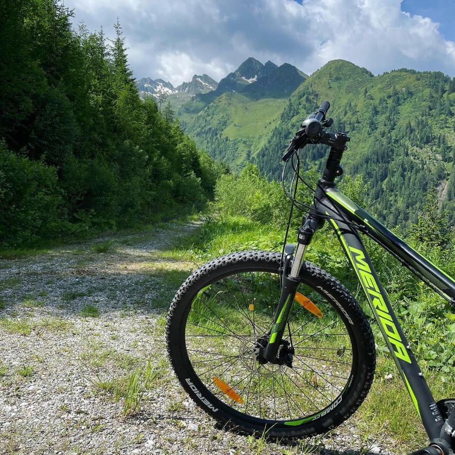 Landhaus Bergner Alm Bruck an der Grossglocknerstrasse Luaran gambar